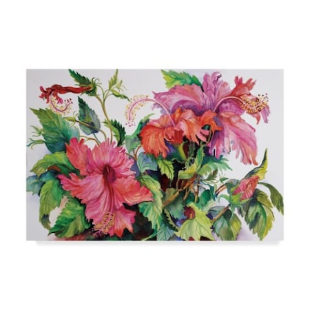 Joanne Porter 'Hibiscus' Canvas Art,30x47